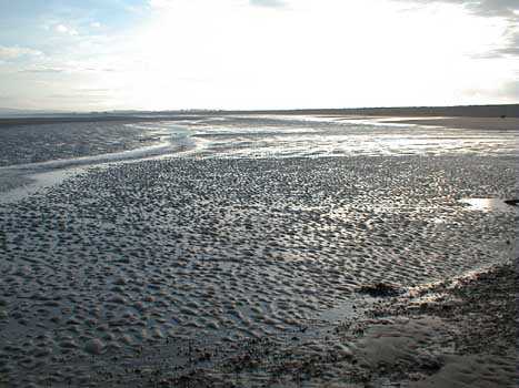 Rye Harbour beach